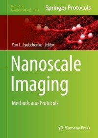 Nanoscale Imaging