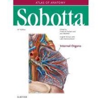 Sobotta :  Organ interna